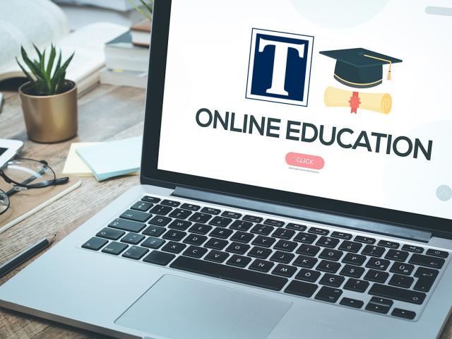 Online learning teaching