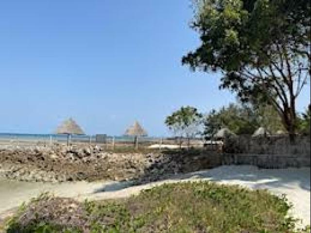 TANZANIA :  Art , Sisterhood , Wildlife Wonders & Cultural Treasures