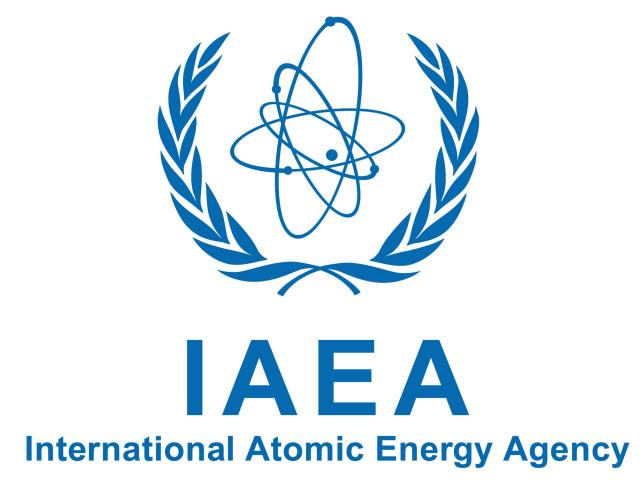 Small modular reactors