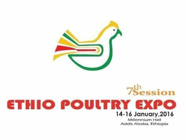 Ethio poultry expo
