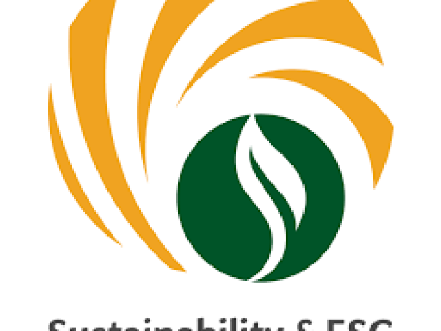 Cairo Renewable Energy Summit 2025
