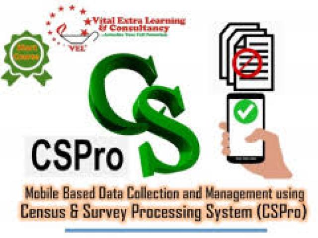 Training Course on Research Data Collection and Management using Census and Survey Processing System (CSPro) 2025