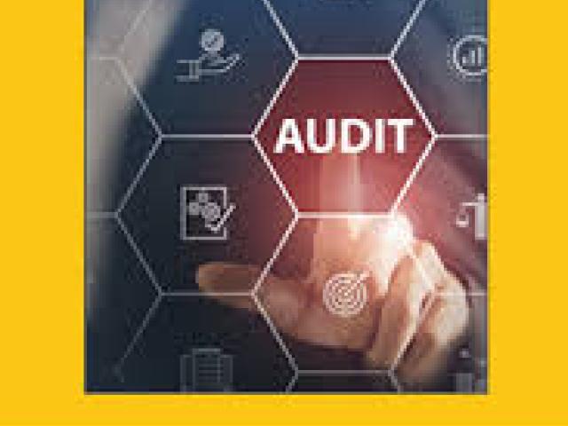 Internal Audit and Control Best Practices Training Course