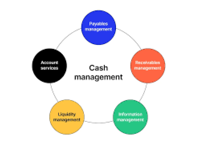 Managing Cash Flow and Liquidity During Lean Times 2025