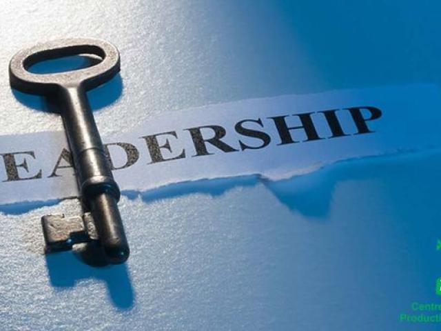 Leading with Emotional Excellence