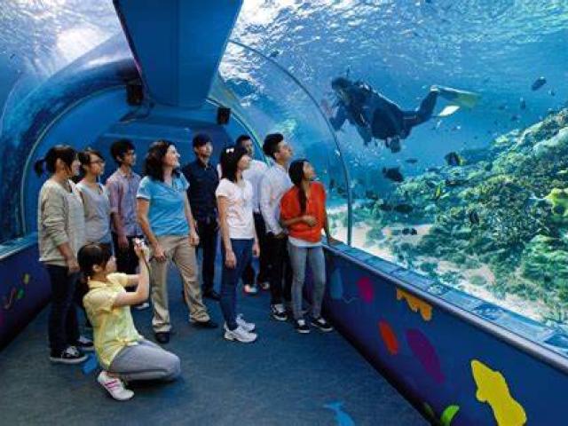 Educational tourism