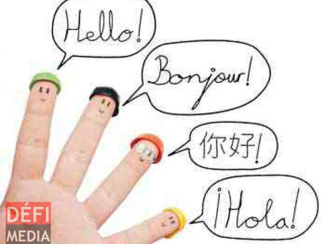 Multilingualism language studies