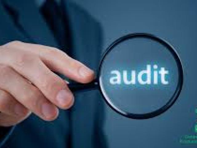 Introduction to IT Auditing and IT Fraud Detection Course 2025