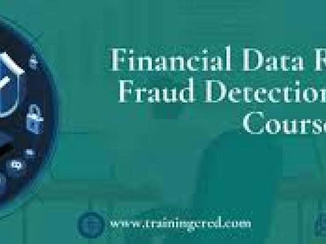 Financial Data Review and Fraud Detection Training Course 2025