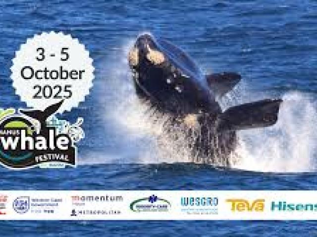 Hermanus Whale Festival (WhaleFestival)