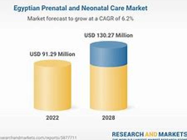 International Congress of the Egyptian Society for Neonatal and Preterm Care 2024