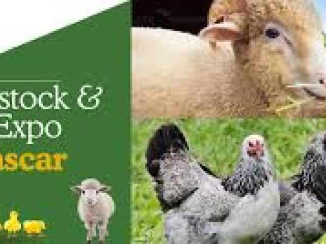 Aviana Madagascar (Africa Poultry And Livestock Expo) 2025