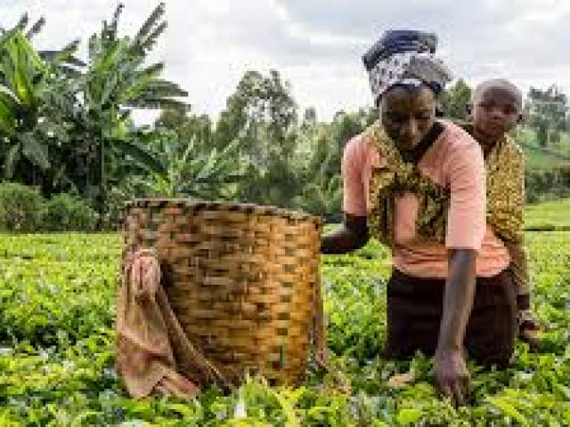 Enhancing Farmers Contribution to NAP/NDCs: The Climakers Agenda for Food Security & Climate Action