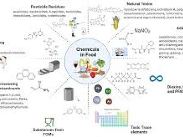 Third Research Coordination Meeting on Nuclear Techniques to Support Risk Assessment of Biotoxins and Pathogen Detection in Food and Related Matrices 2025