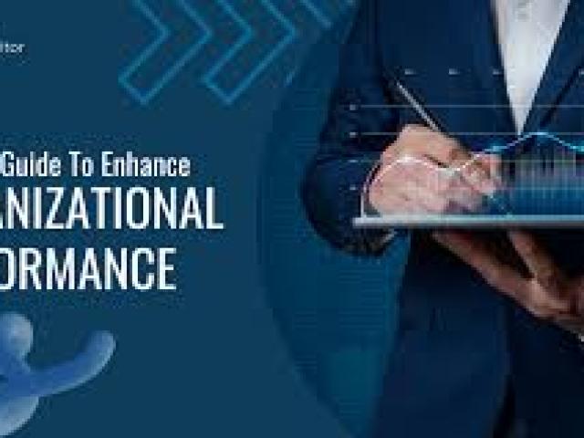 Peak Performance & Organizational Development 2025