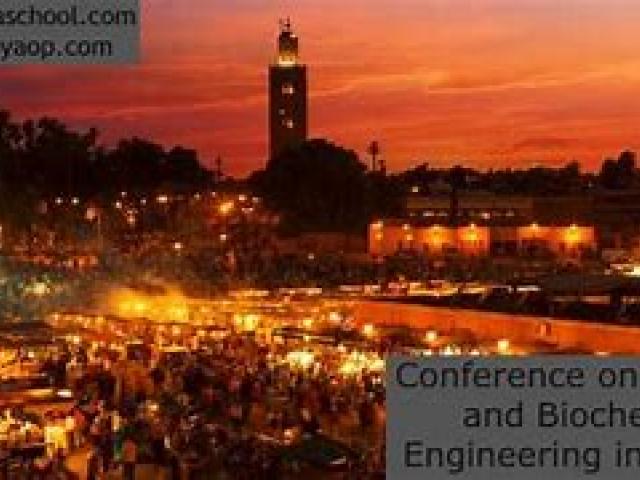 International Conference on Chemical and Biochemical Engineering 2024