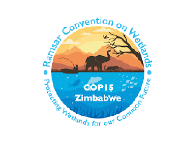 Meeting of the Conference of the Contracting Parties 2025