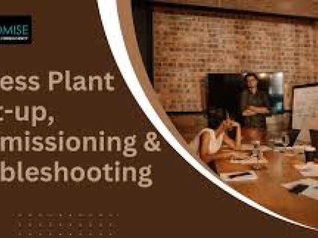 Process Plant Start-up and Commissioning