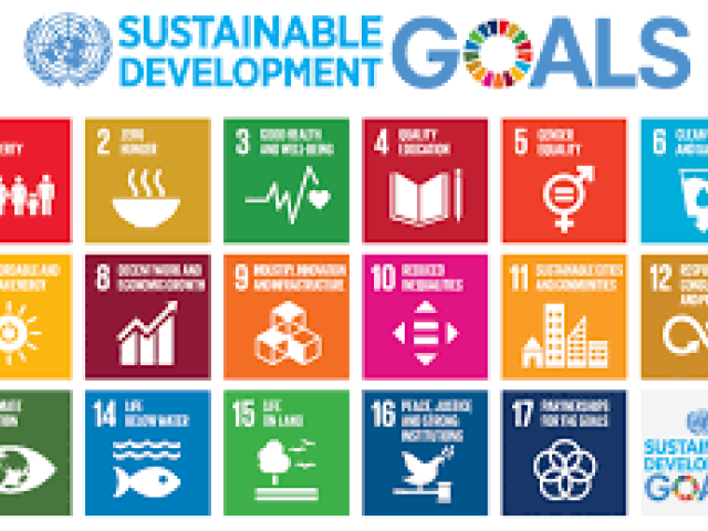 Education and the Sustainable Development Goals (SDGS)	 2025