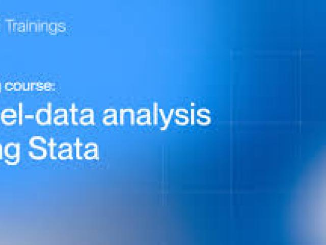 Panel Data Analysis Using Stata Training Course 2025				