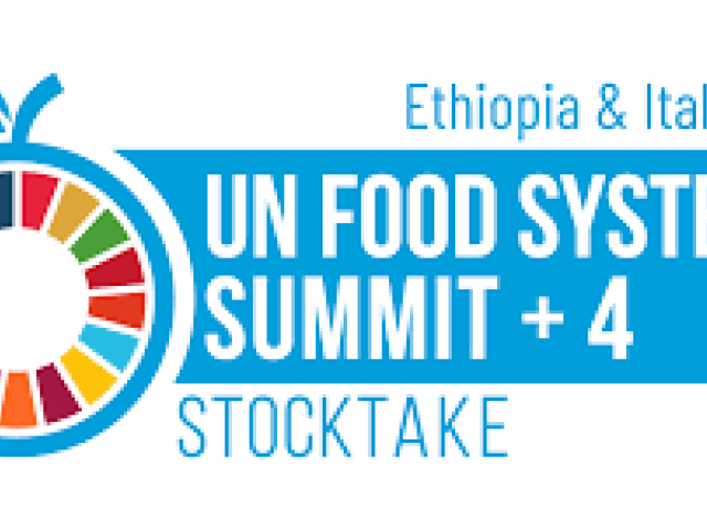 UN Food Systems Summit Stocktake 2025