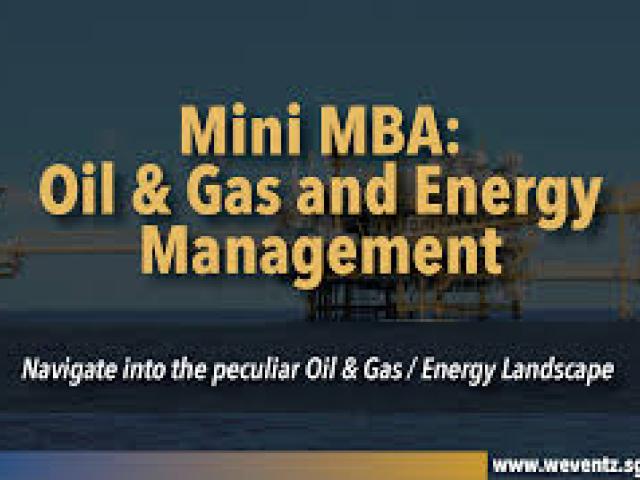 Mini MBA in Oil and Gas Management 2025