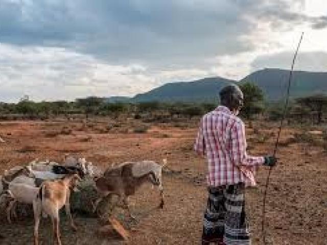 Tackling the Intractable: the Political Economy of a Livestock Transition in Line with Climate Goals