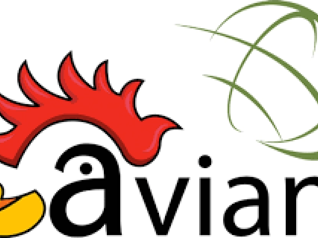 Aviana Uganda