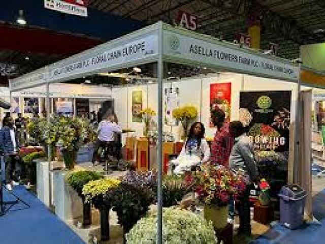 HortiFlora Expo (HFE)						