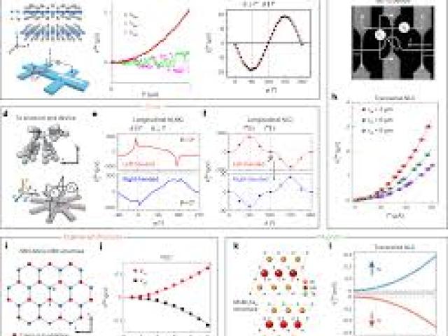 Nonlinear Dynamics and Anomalous Transport in Low Dimensions																	
