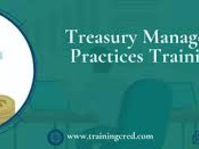 Treasury Management and Reporting a Strategy for Efficient Service Delivery Course 2025